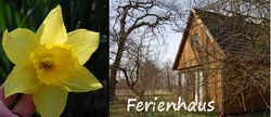Ferienhaus in Fischerhude mit Kamin, Kanu und Fahrrad, bis zu 4 Personen, In der Bredenau 44, 28870 Fischerhude, Tel: 030/3246116 (Familie von Essen), Mail: anfrage@ferienhaus-in-fischerhude.de, Homepage: www.ferienhaus-in-fischerhude.de