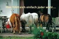 Hier f�hlt sich einfach jeder wohl ...