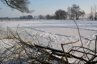Natur Fischerhudes im Winter