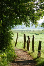 Dietrich Speckmann-Weg