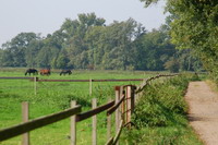Wanderweg in Fischerhude