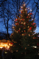 Weihnachtsbaum auf dem Fischerhuder Weihnachtsmarkt 