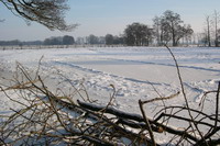 Schneebedeckte Wiese im Winter bei Schnee