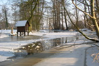 Entenhaeusschen am fast zugefrorenen Streek im Winter